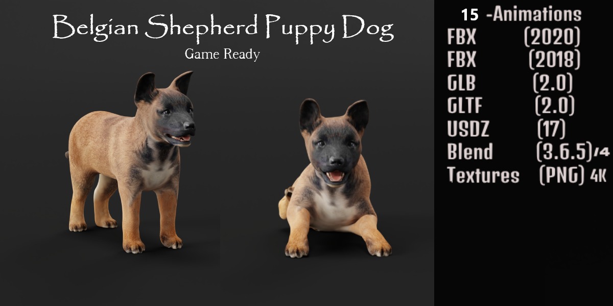 Dogs Family Assets Bundle  Low-poly 3D model_7