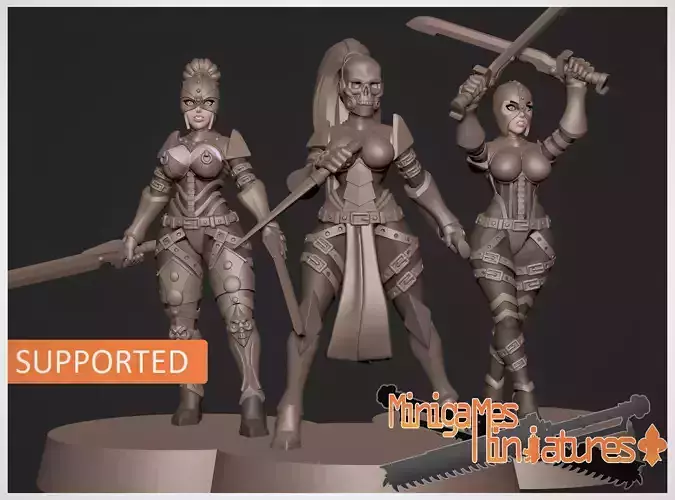 Assasins anime figurines