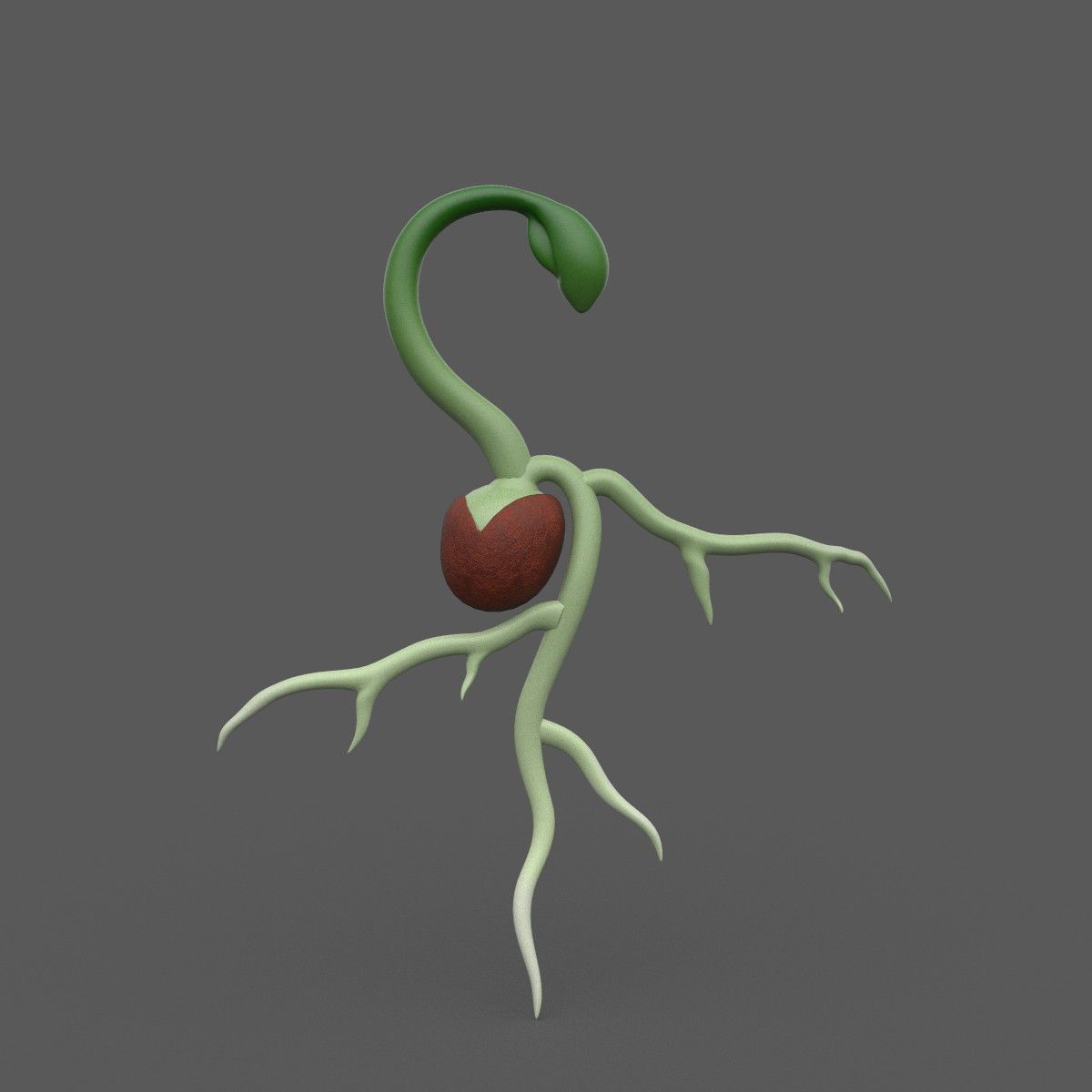 Seed Germination Low-poly 3D model_2