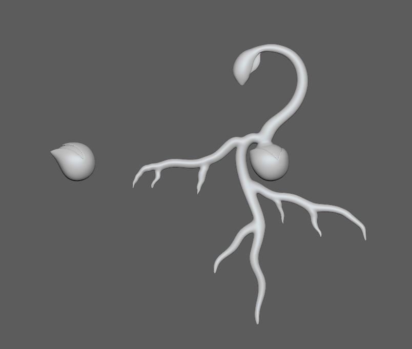 Seed Germination Low-poly 3D model_4