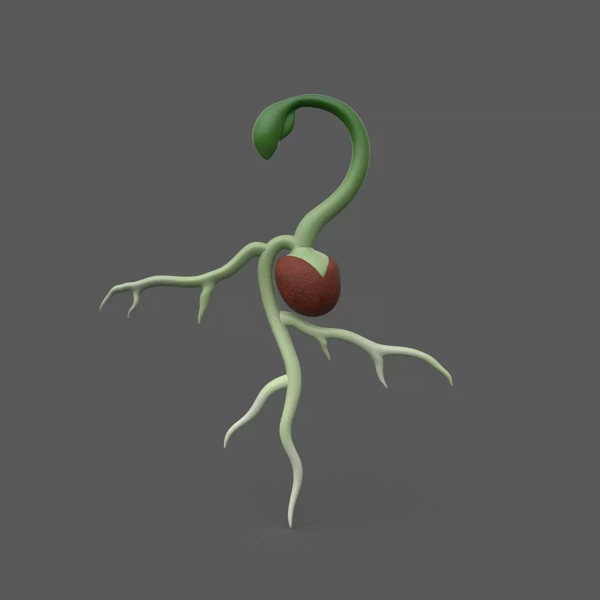Seed Germination Low-poly 3D model_0
