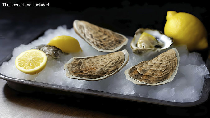 Three Closed Oysters 3D model