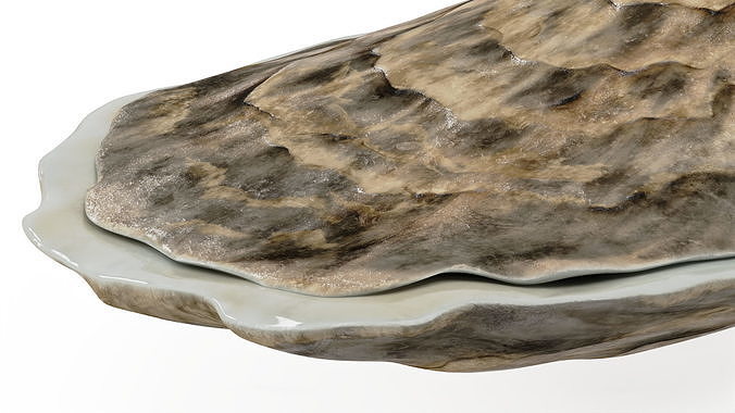 Oyster 3D model 7