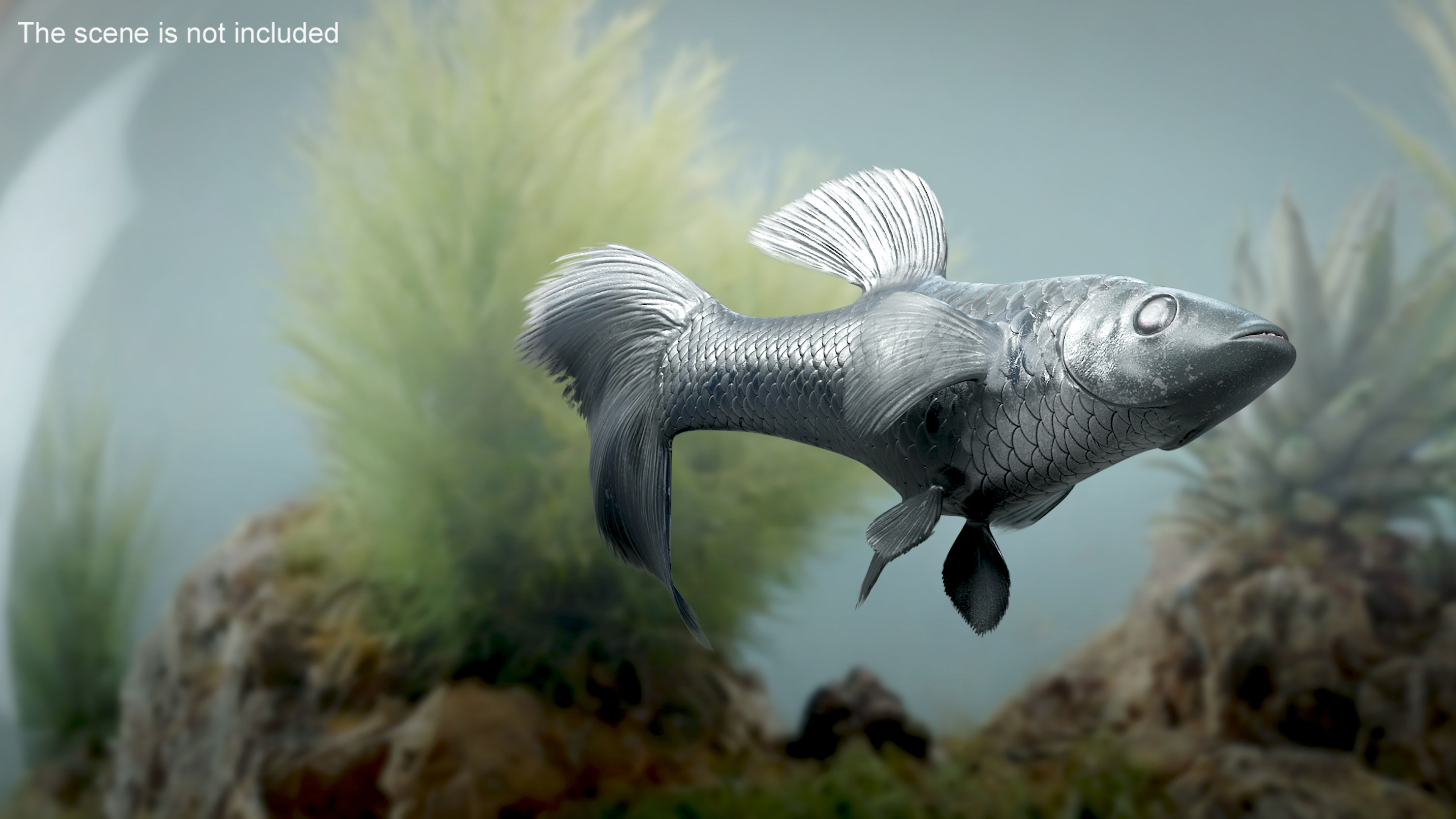 Guppy Fish Black Prince Rigged 3D model