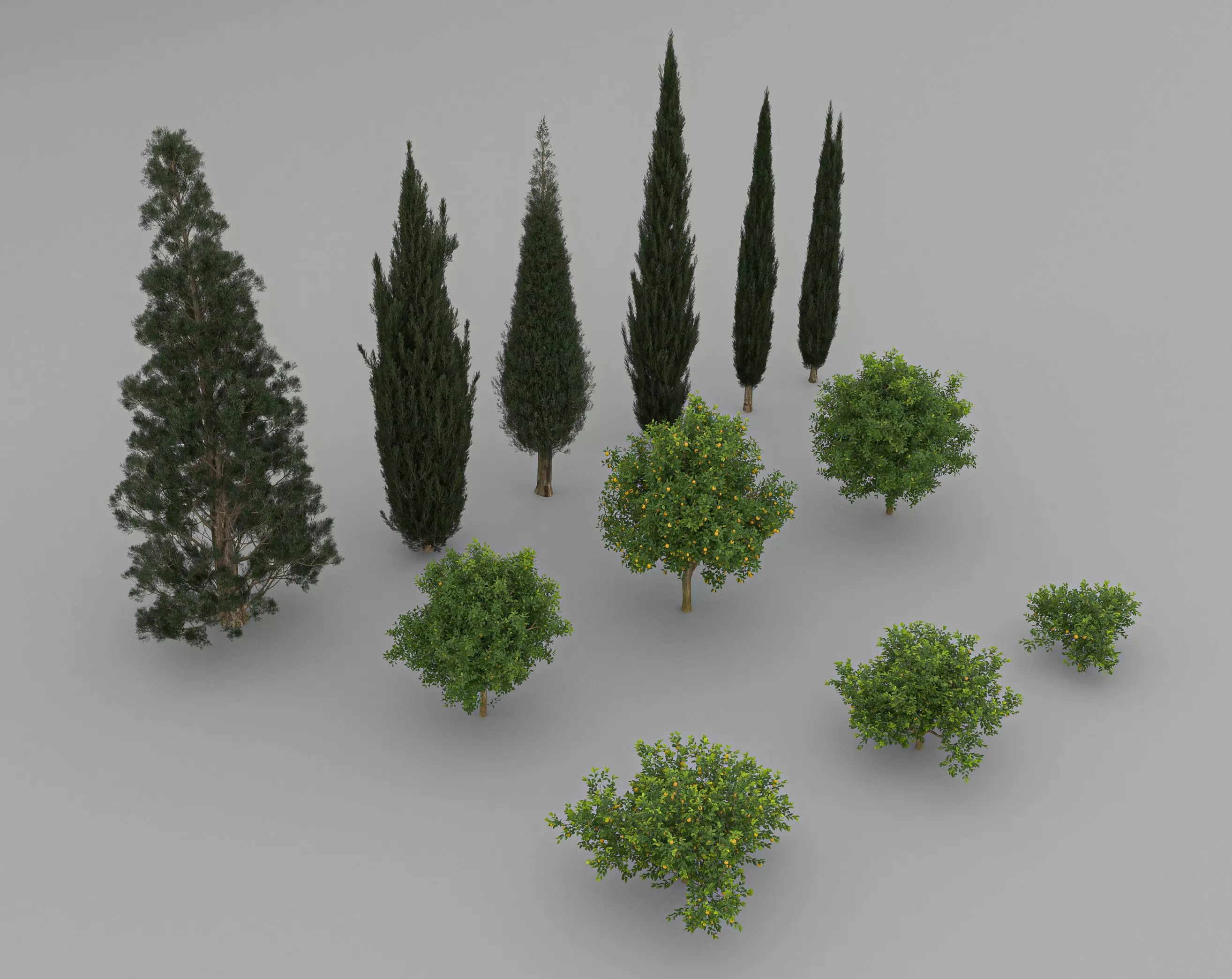 Citrus Lemon Free 3D model