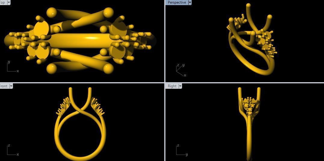 Cluster Ring 3dm file 3D print model_2