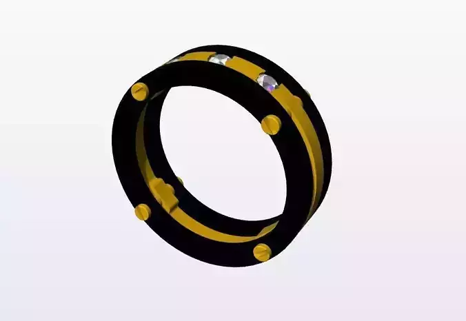 Ring  bicolor