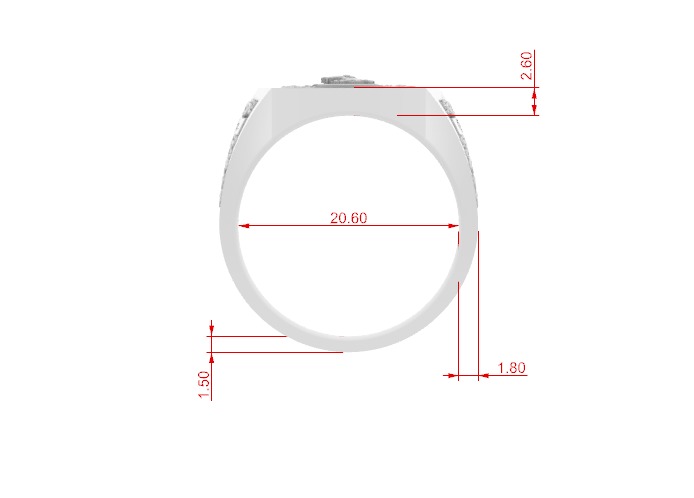 FAMILY CREST RING 3D MODEL 3D print model_3