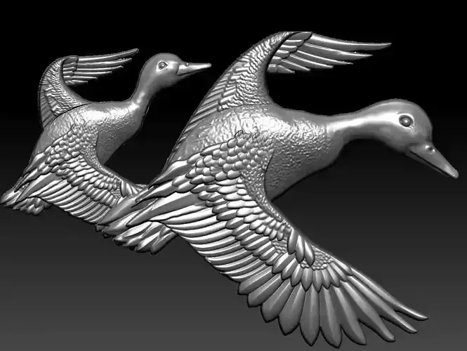 TWO FLYING WILD DUCKS