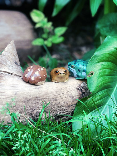 Rain Frog 3D print model
