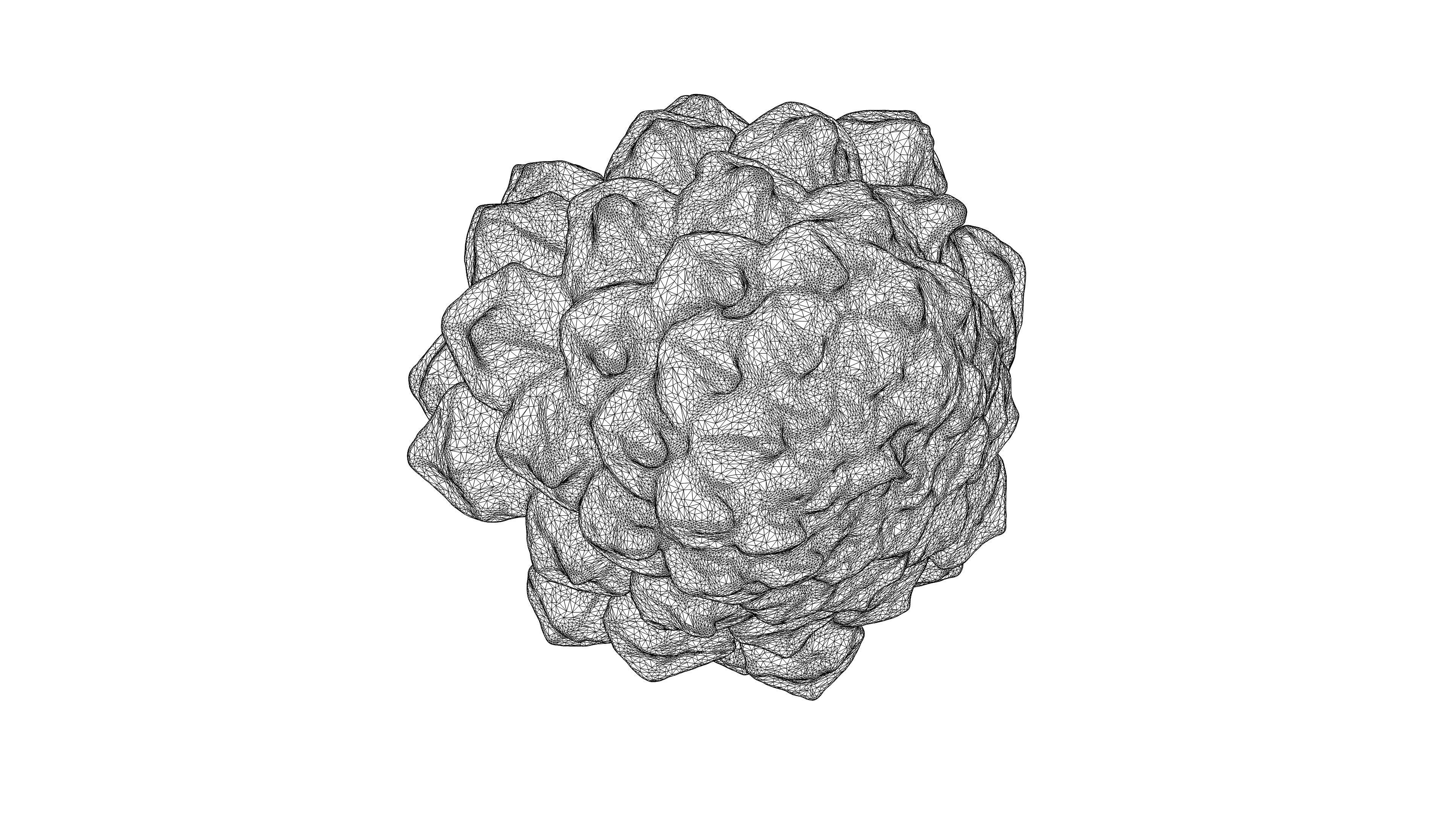 Photorealistic 3D scan of pine conifer cone Low-poly 3D model_24