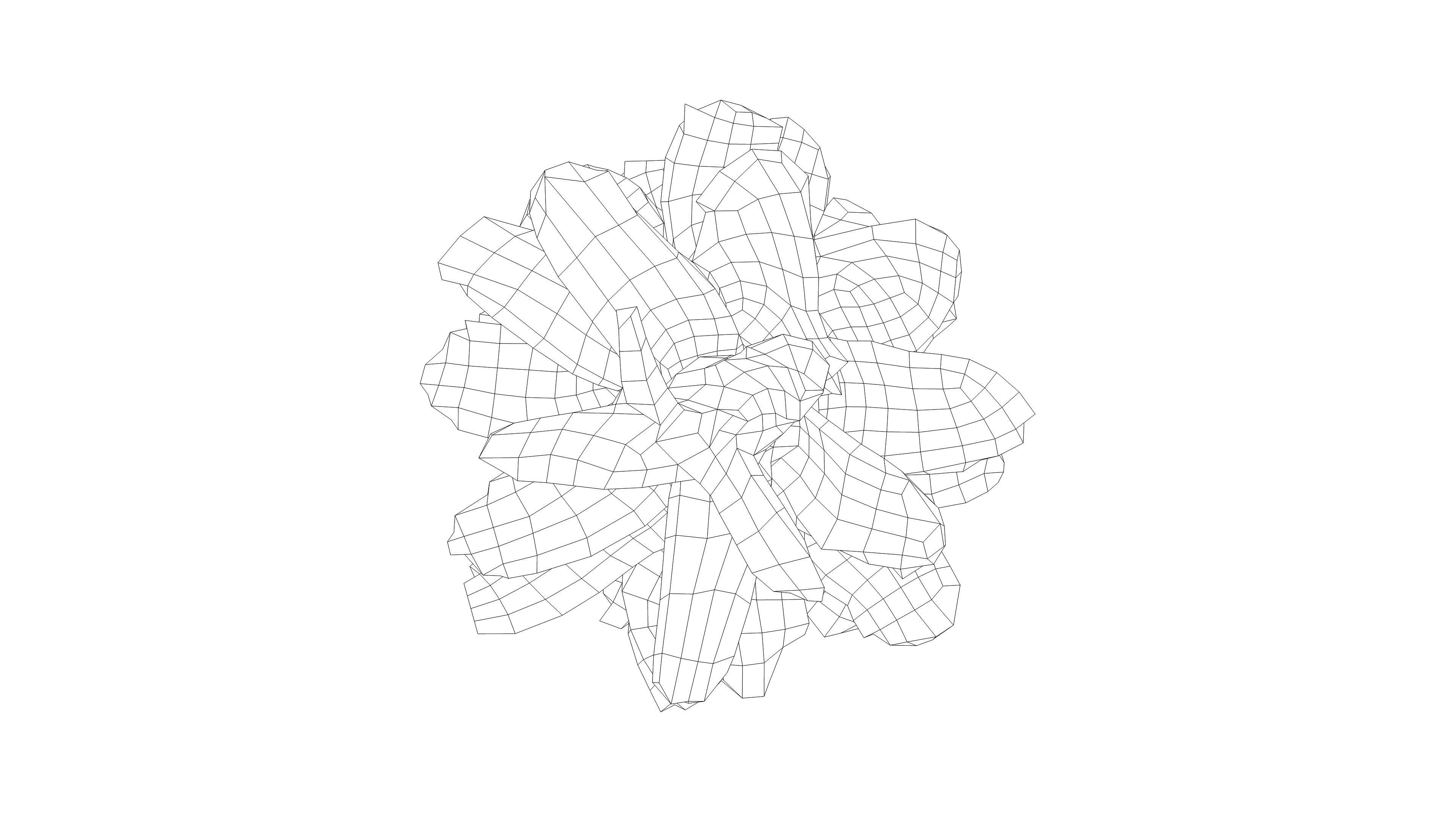 Photorealistic 3D scan of pine conifer cone Low-poly 3D model_14