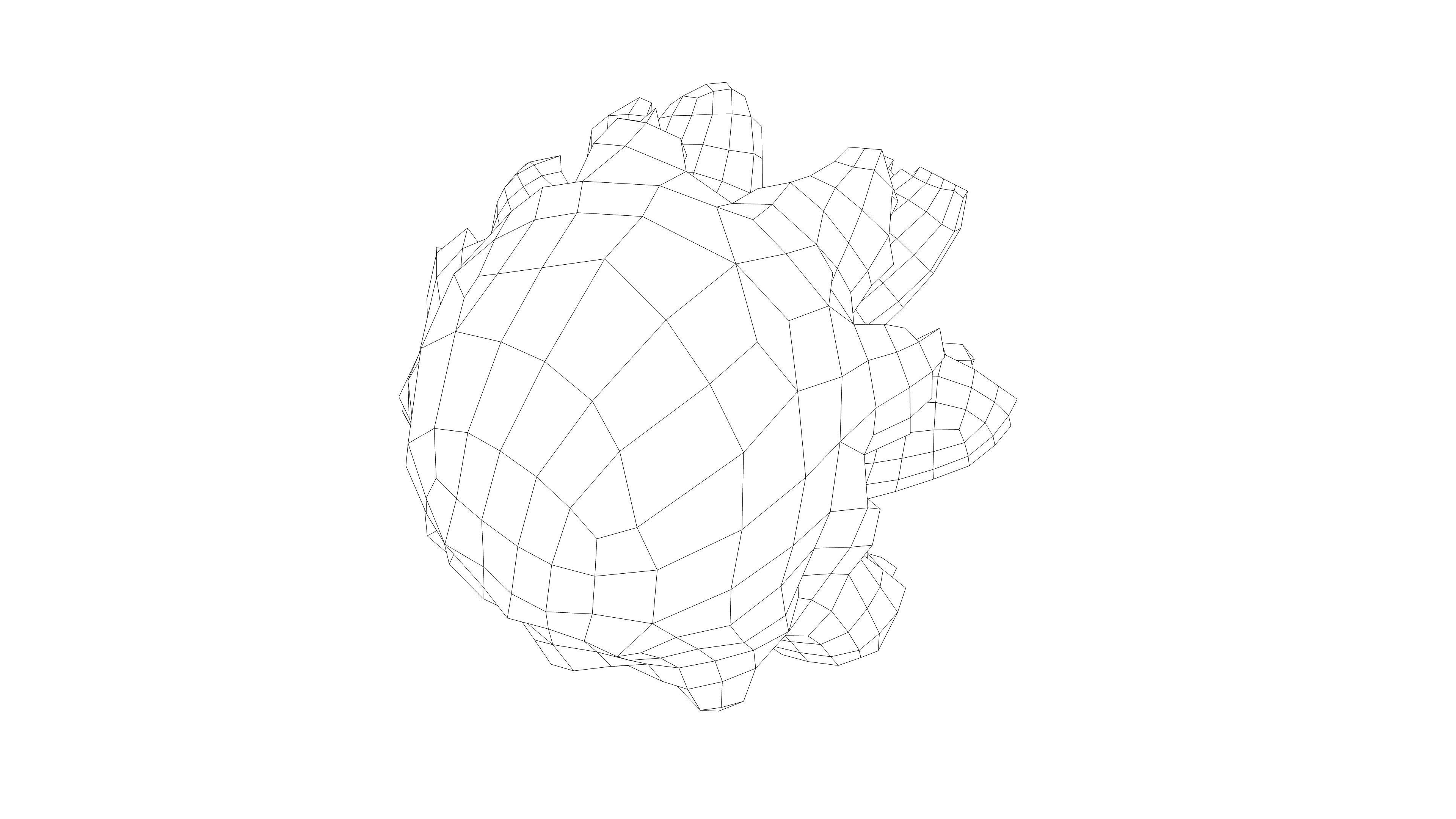 Photorealistic 3D scan of pine conifer cone Low-poly 3D model_19