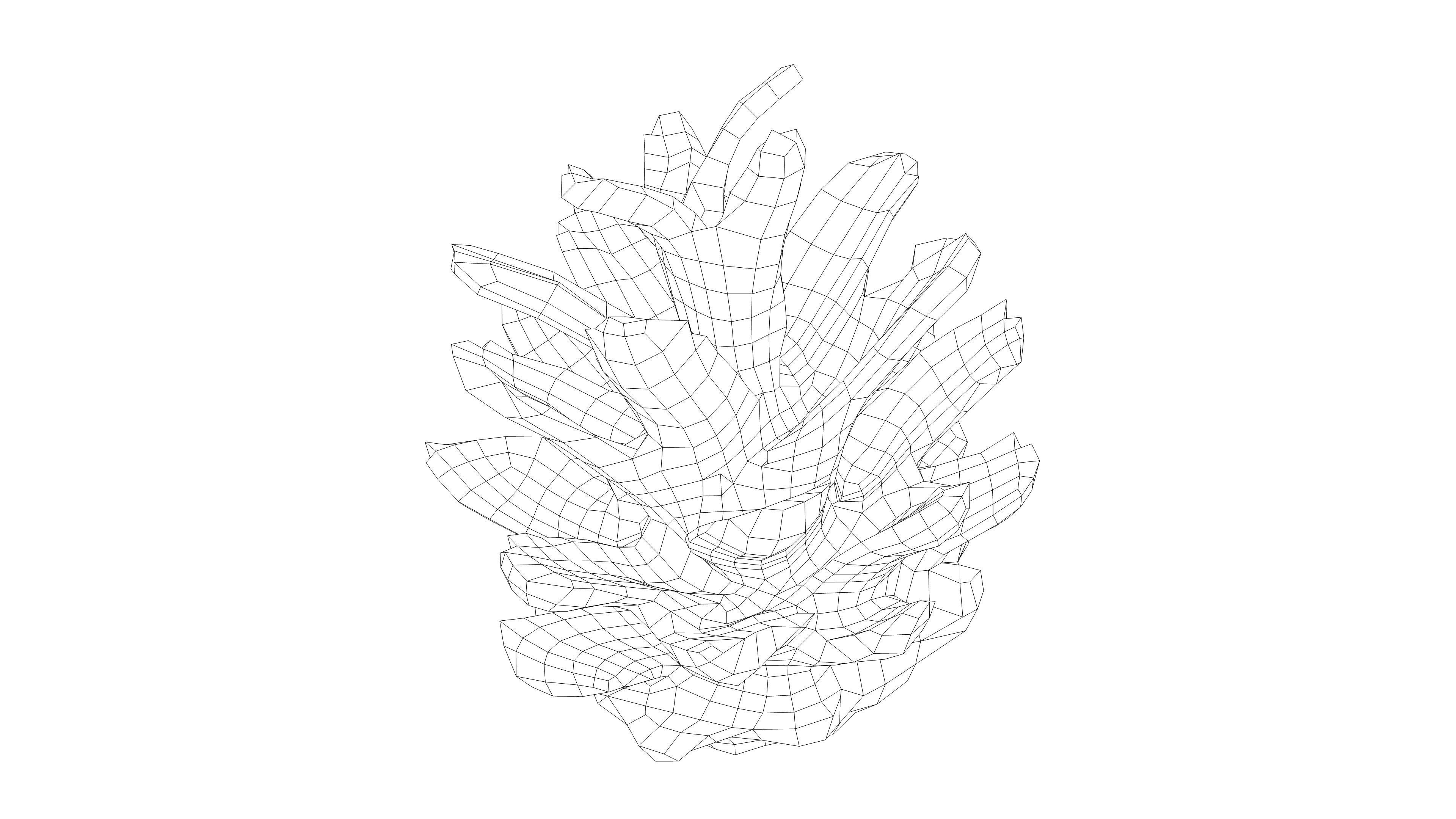 Photorealistic 3D scan of pine conifer cone Low-poly 3D model_15