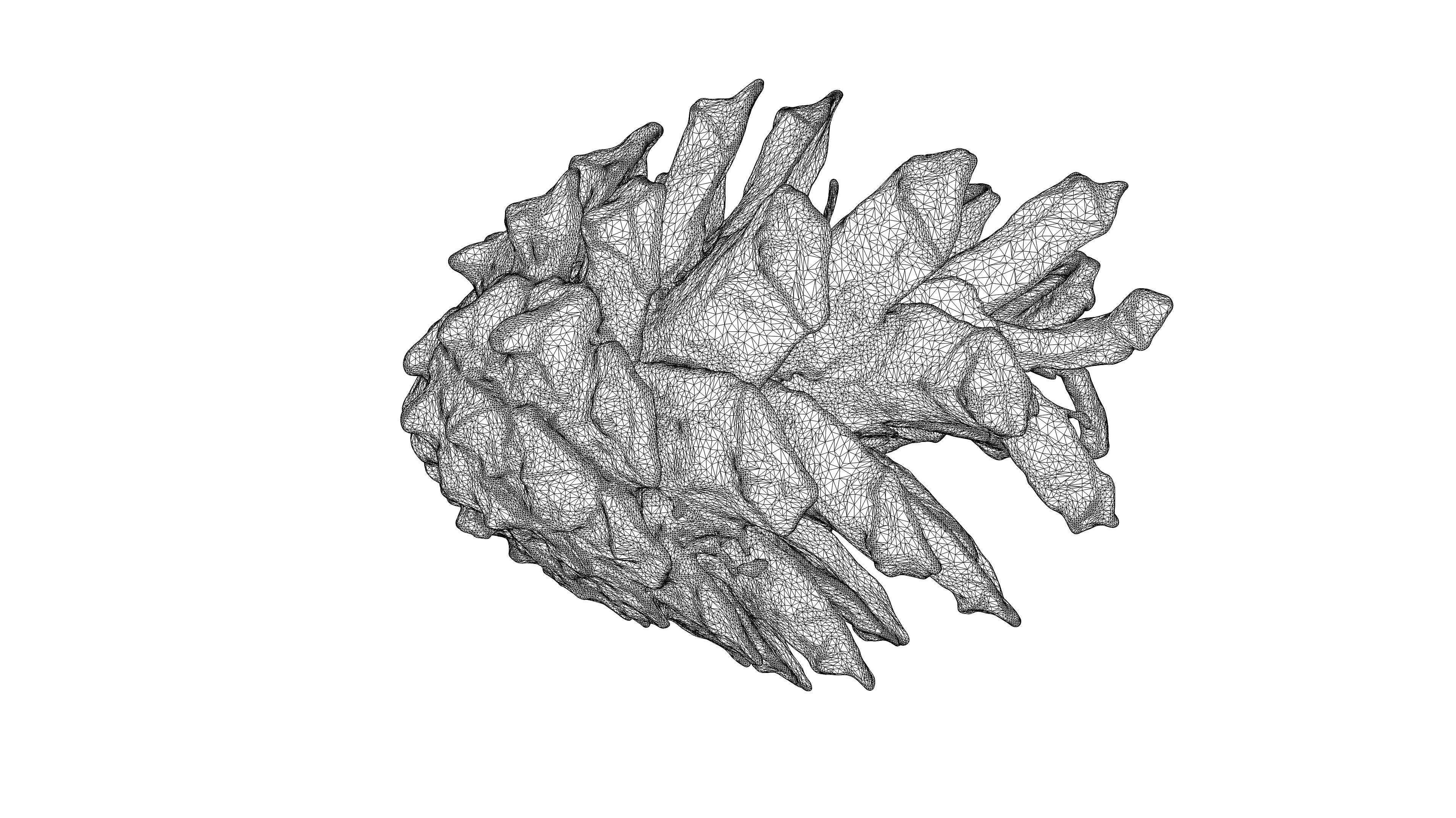 Photorealistic 3D scan of pine conifer cone Low-poly 3D model_22