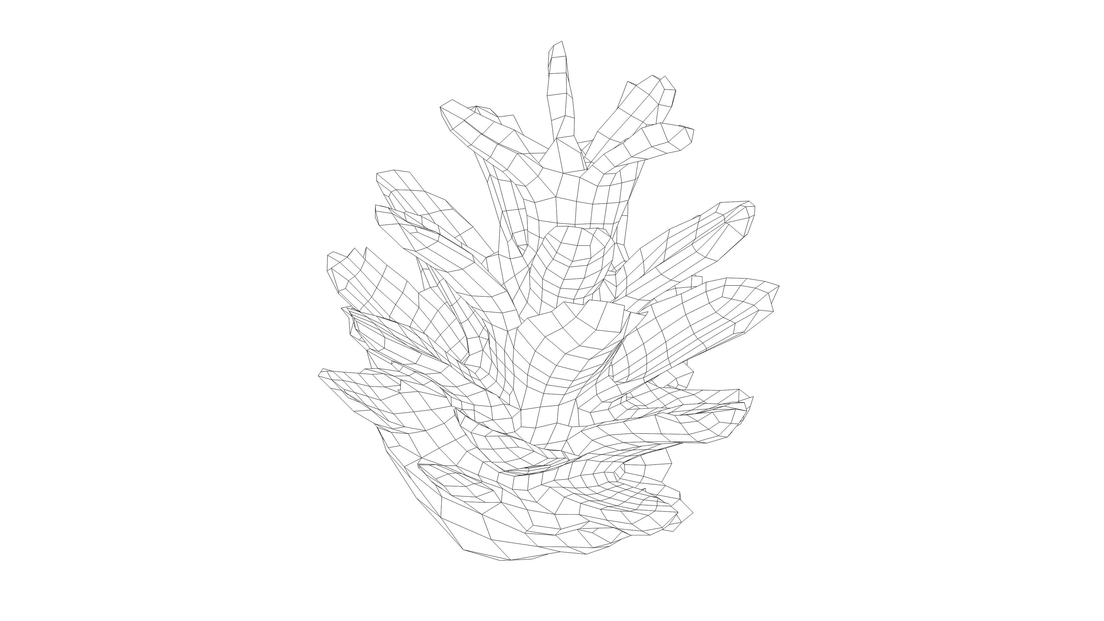 Photorealistic 3D scan of pine conifer cone Low-poly 3D model_18