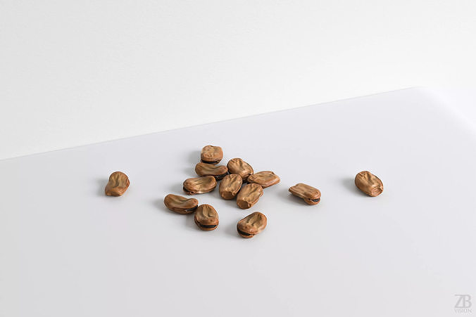 Fava Bean 3D model