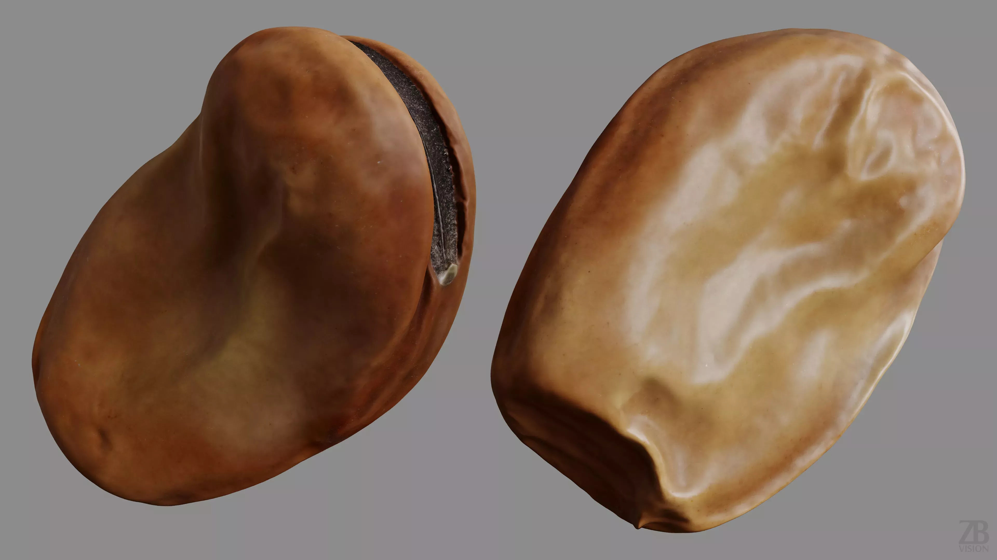 Fava Bean 3D model_8