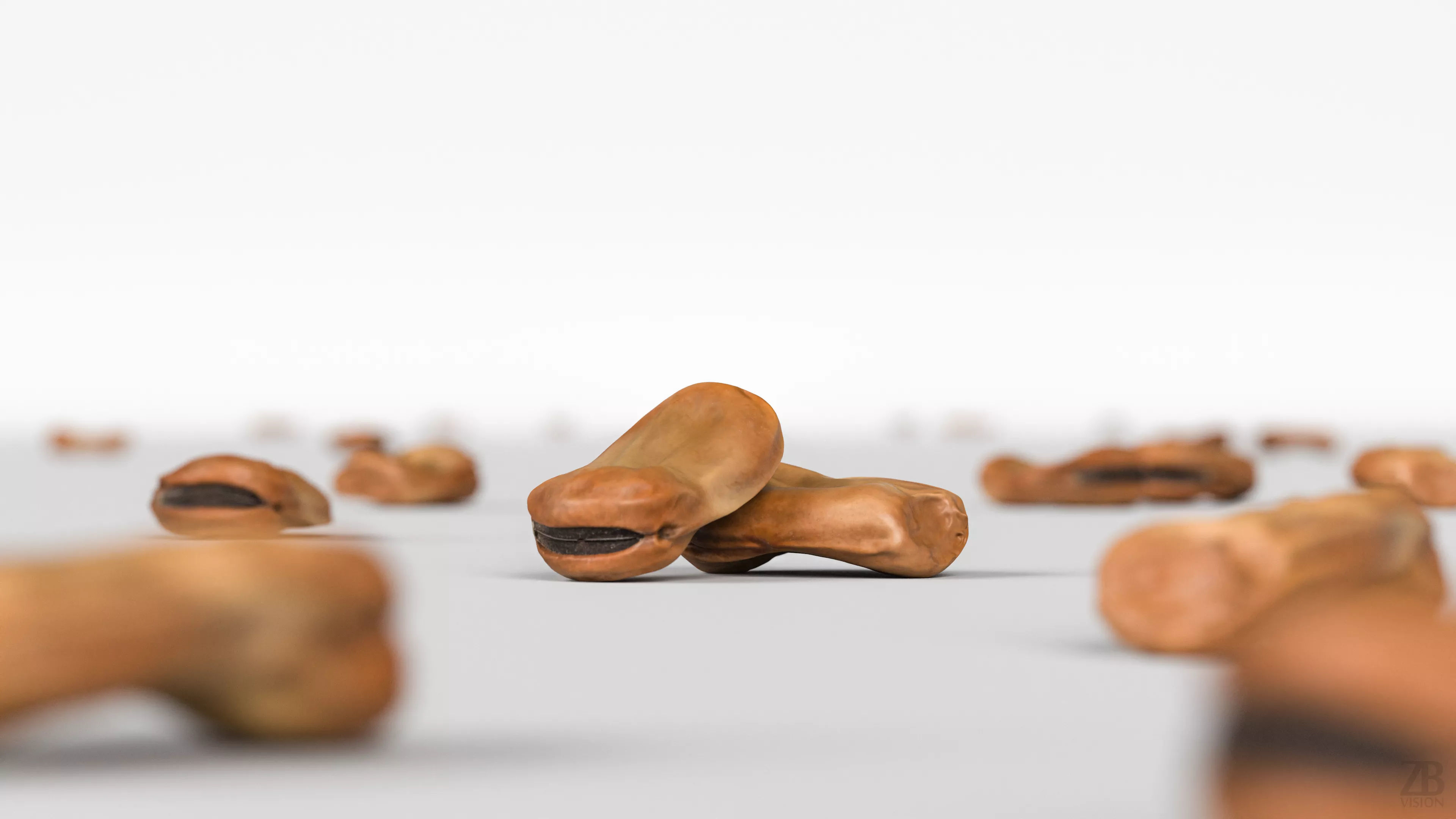 Fava Bean 3D model_1