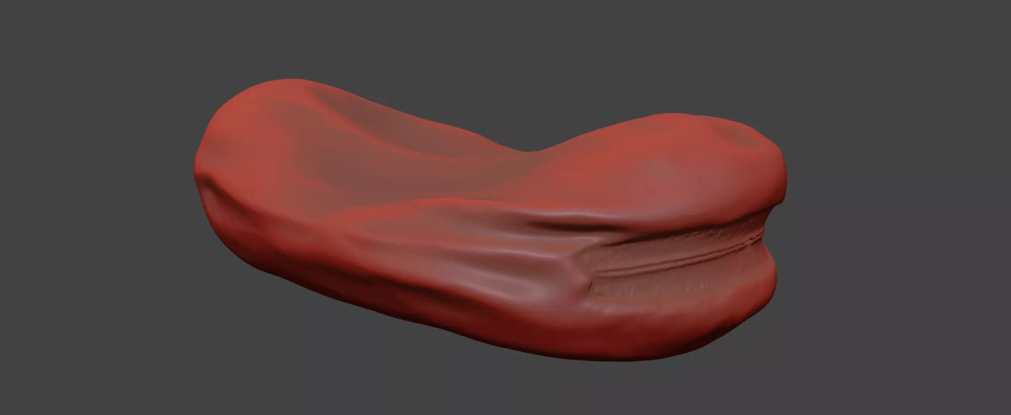 Fava Bean 3D model_7