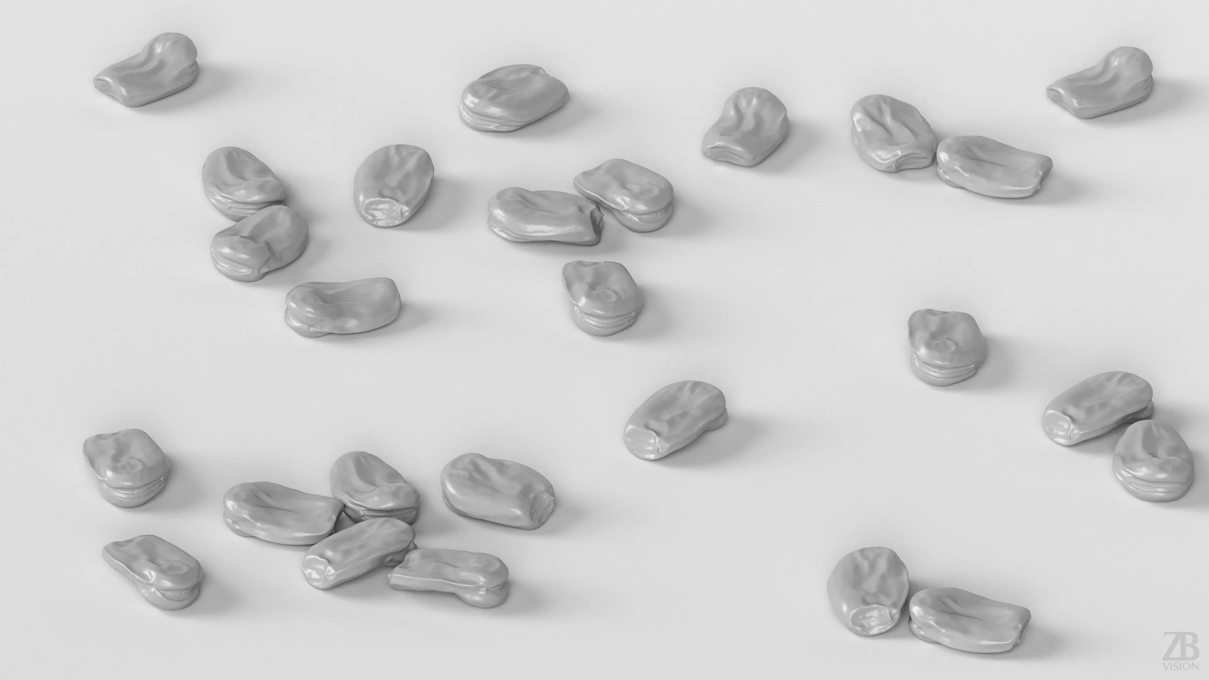 Fava Bean 3D model_3