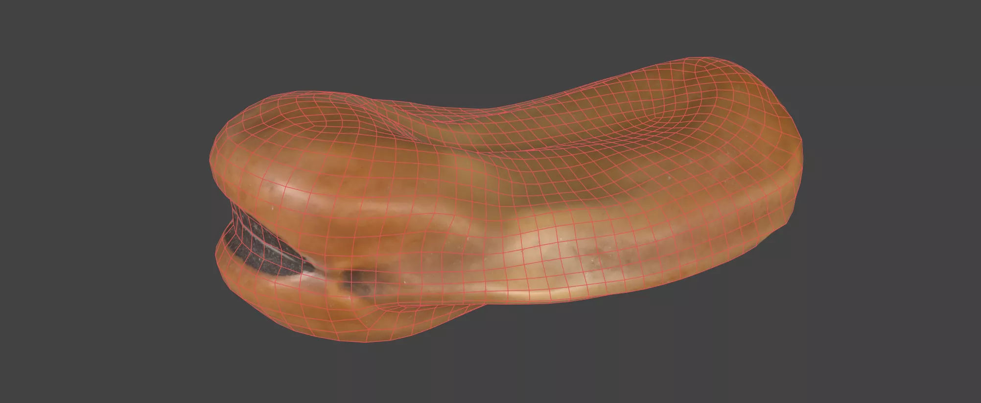 Fava Bean 3D model_6