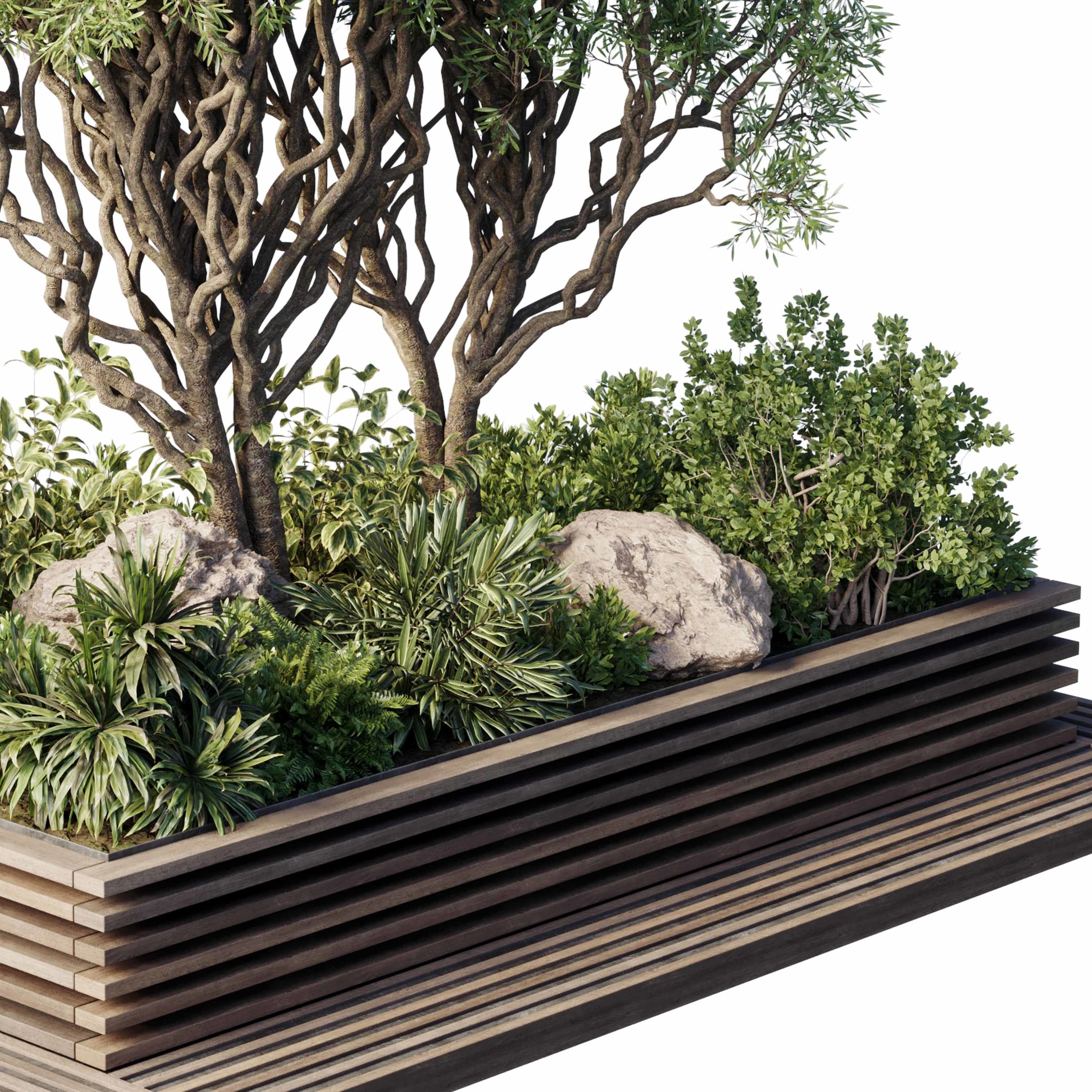 Garden Plants - Outdoor Plants 209 3D model_2