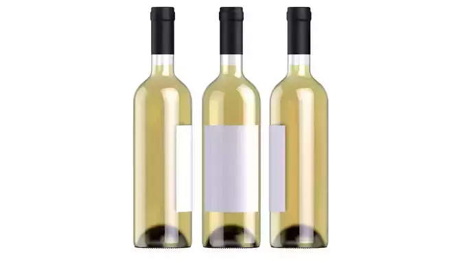 Wine battle 03  3D model