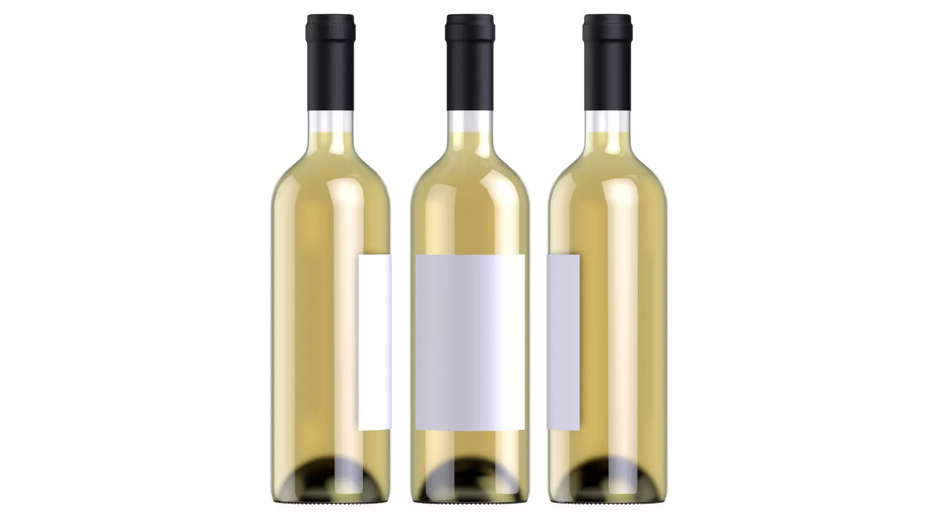 Wine battle 03  3D model_0