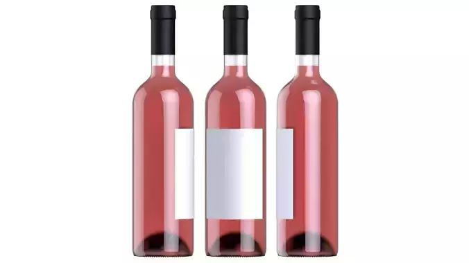 Wine battle 04 3D model