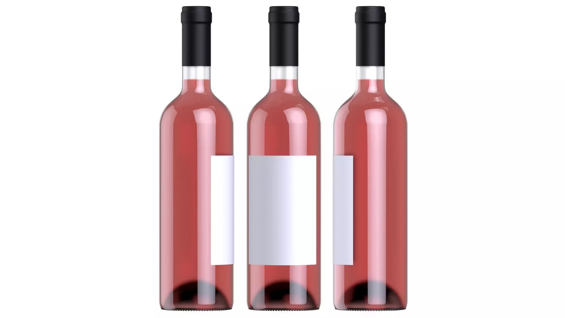 Wine battle 04 3D model_0