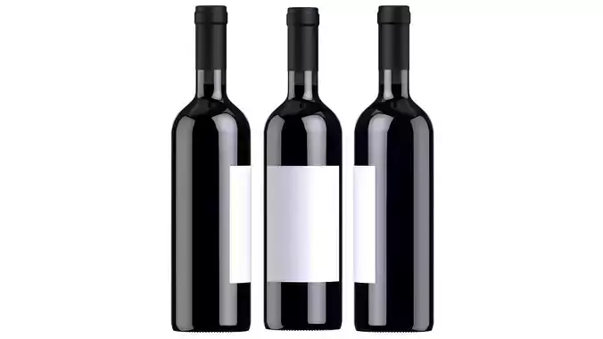 Wine battle 05 3D model