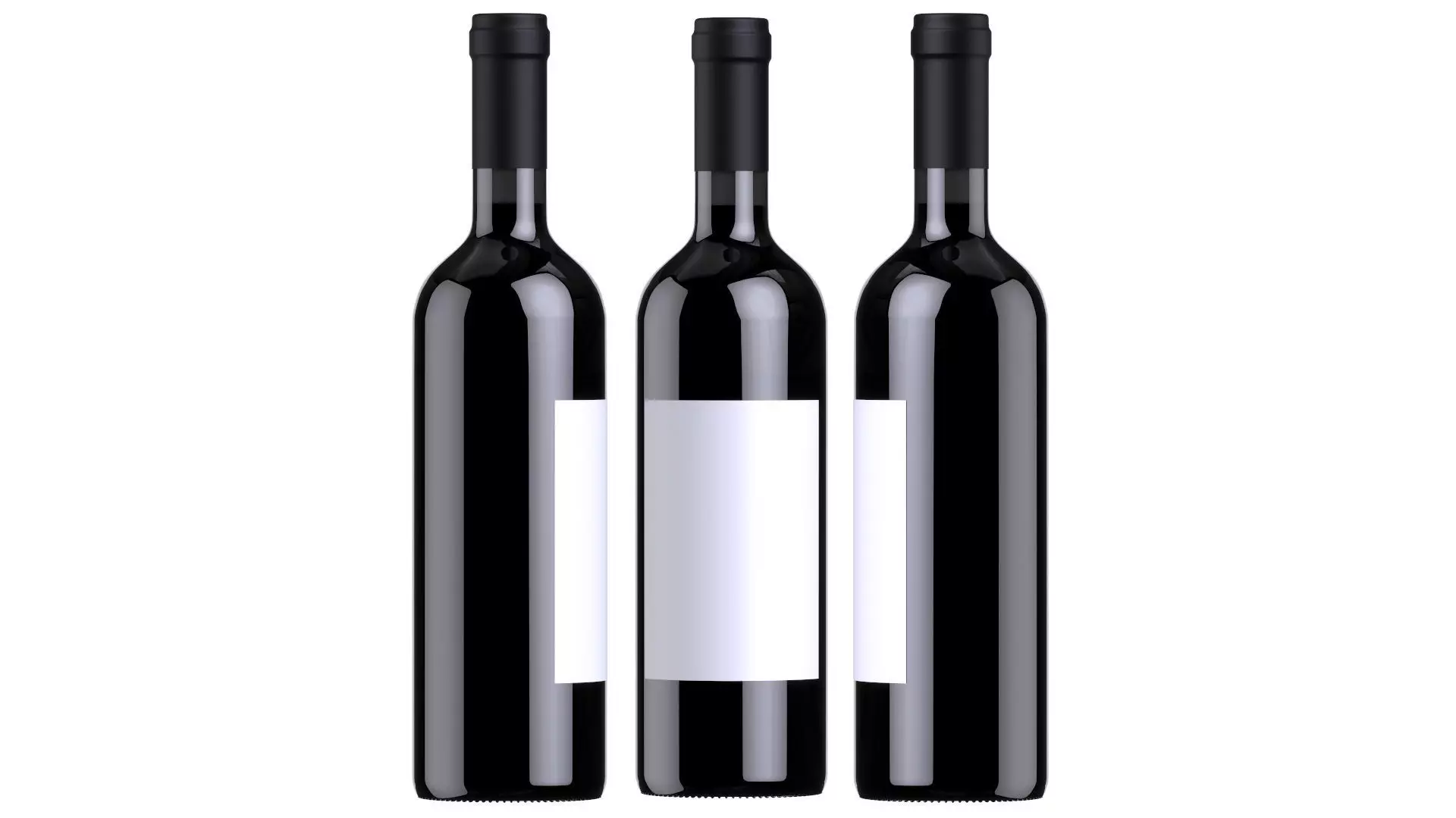 Wine battle 05 3D model_0