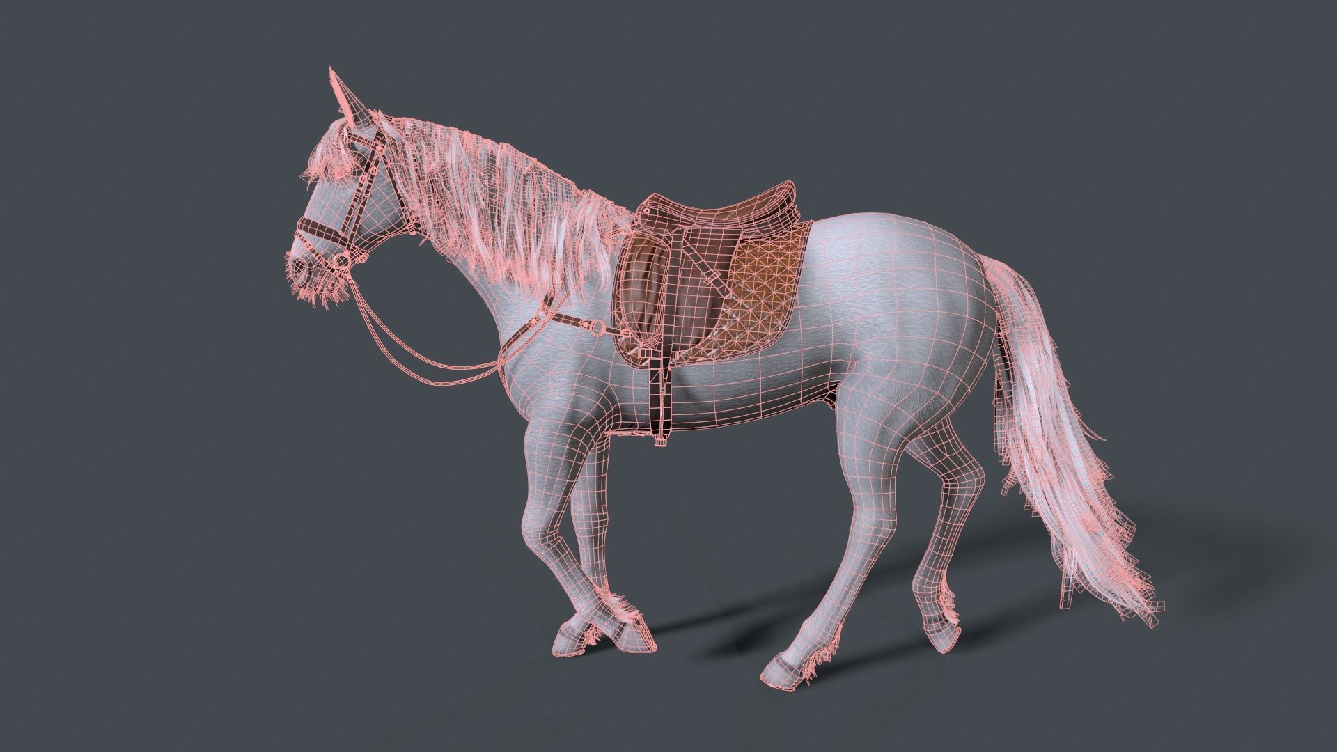 horse Low-poly 3D model_8