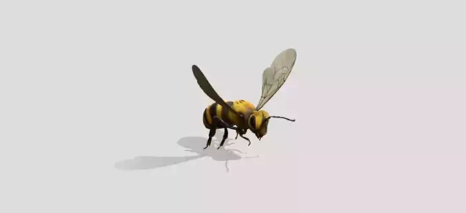 Free High quality rigged  bee