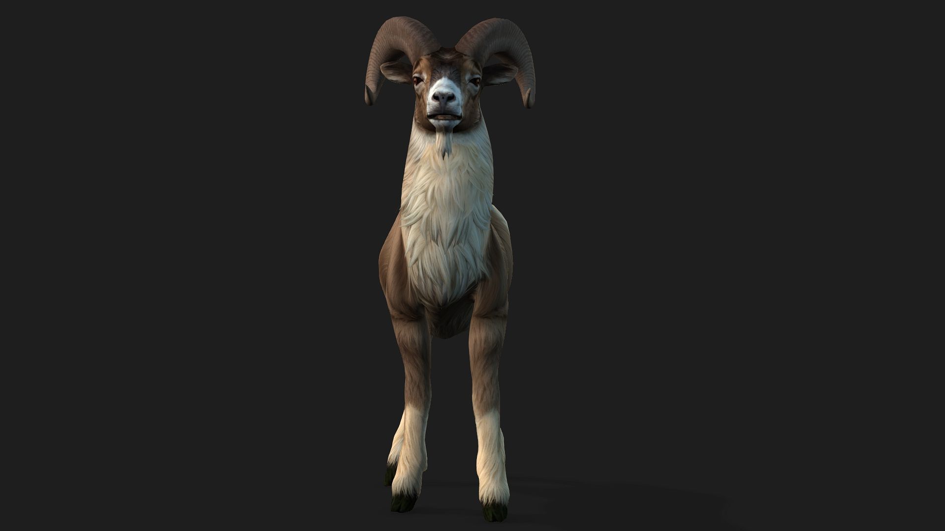 Goat-B1 3D model_10