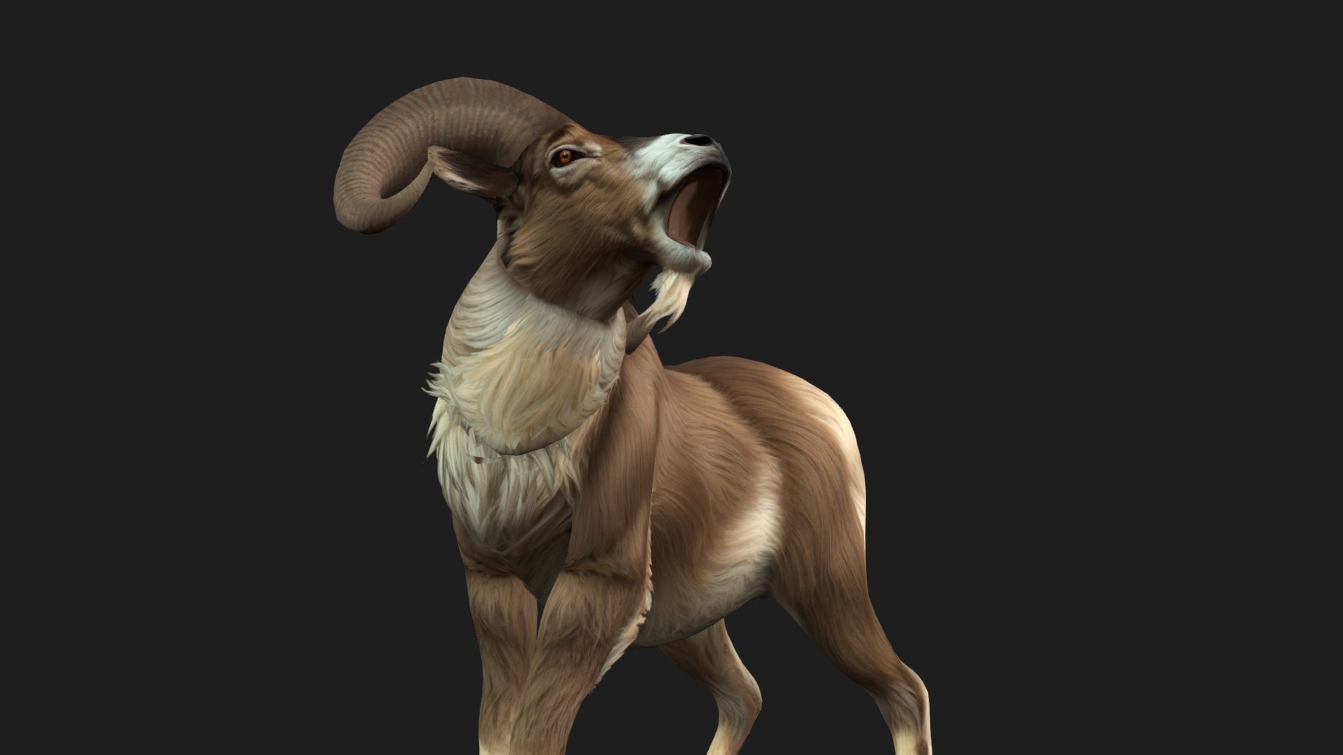 Goat-B1 3D model_7