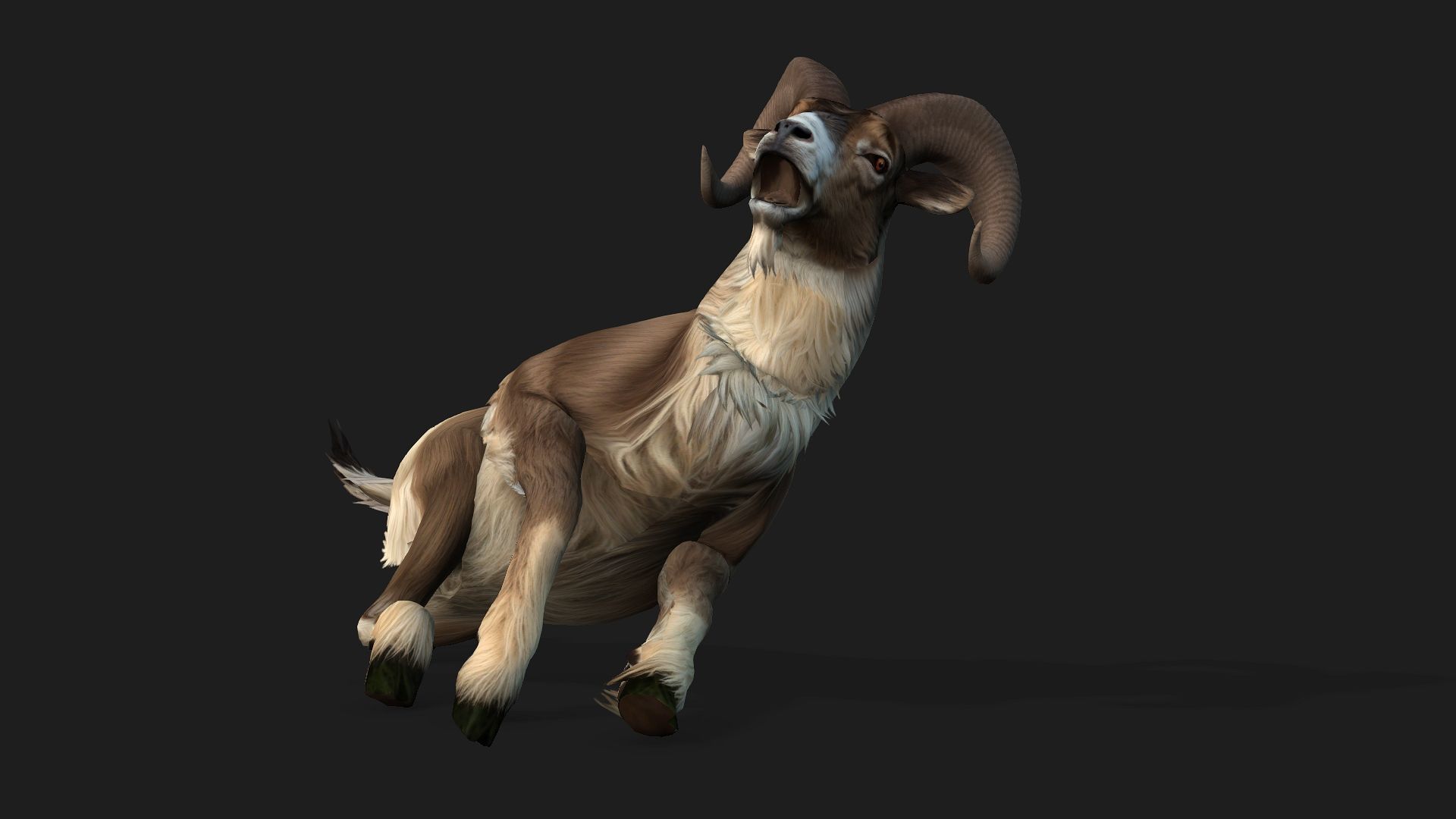 Goat-B1 3D model_5