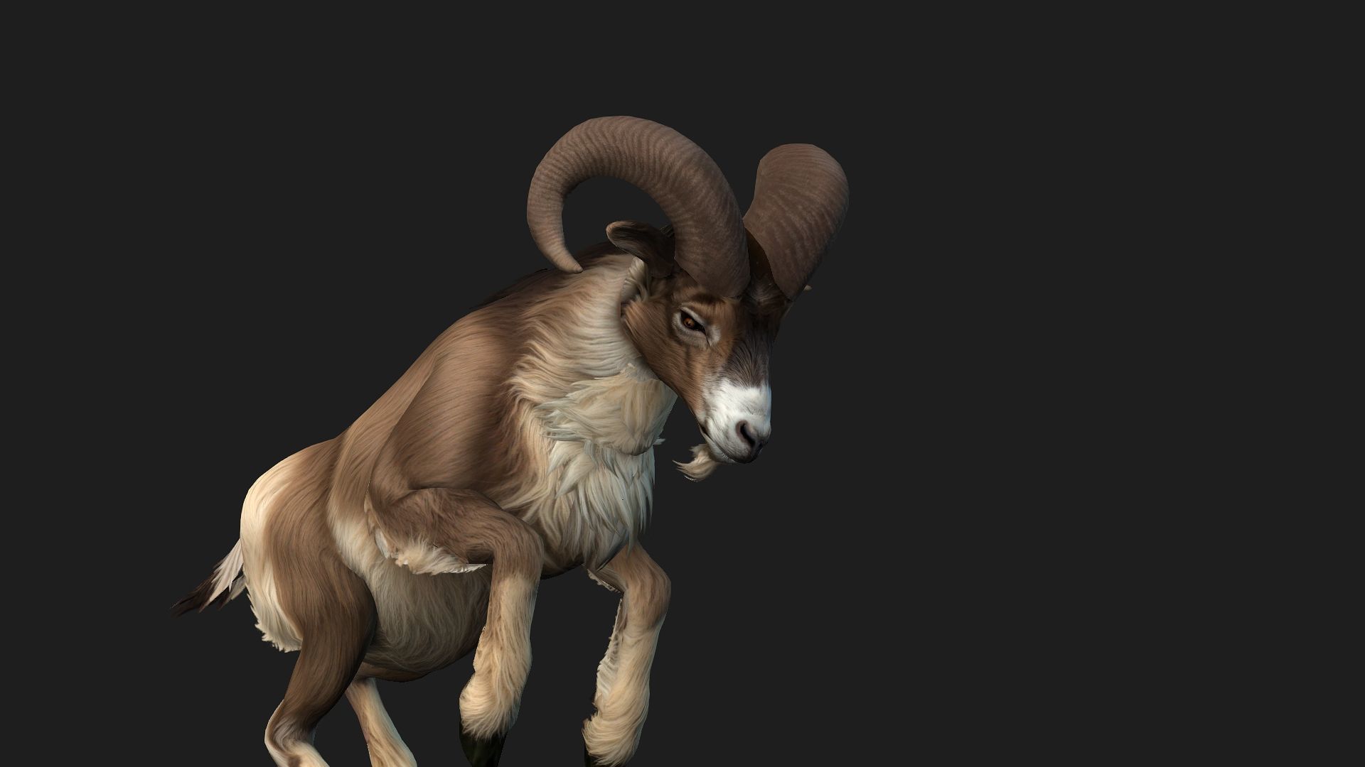 Goat-B1 3D model_14