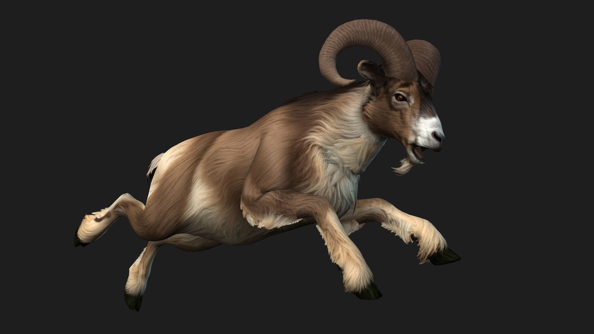 Goat-B1 3D model_8