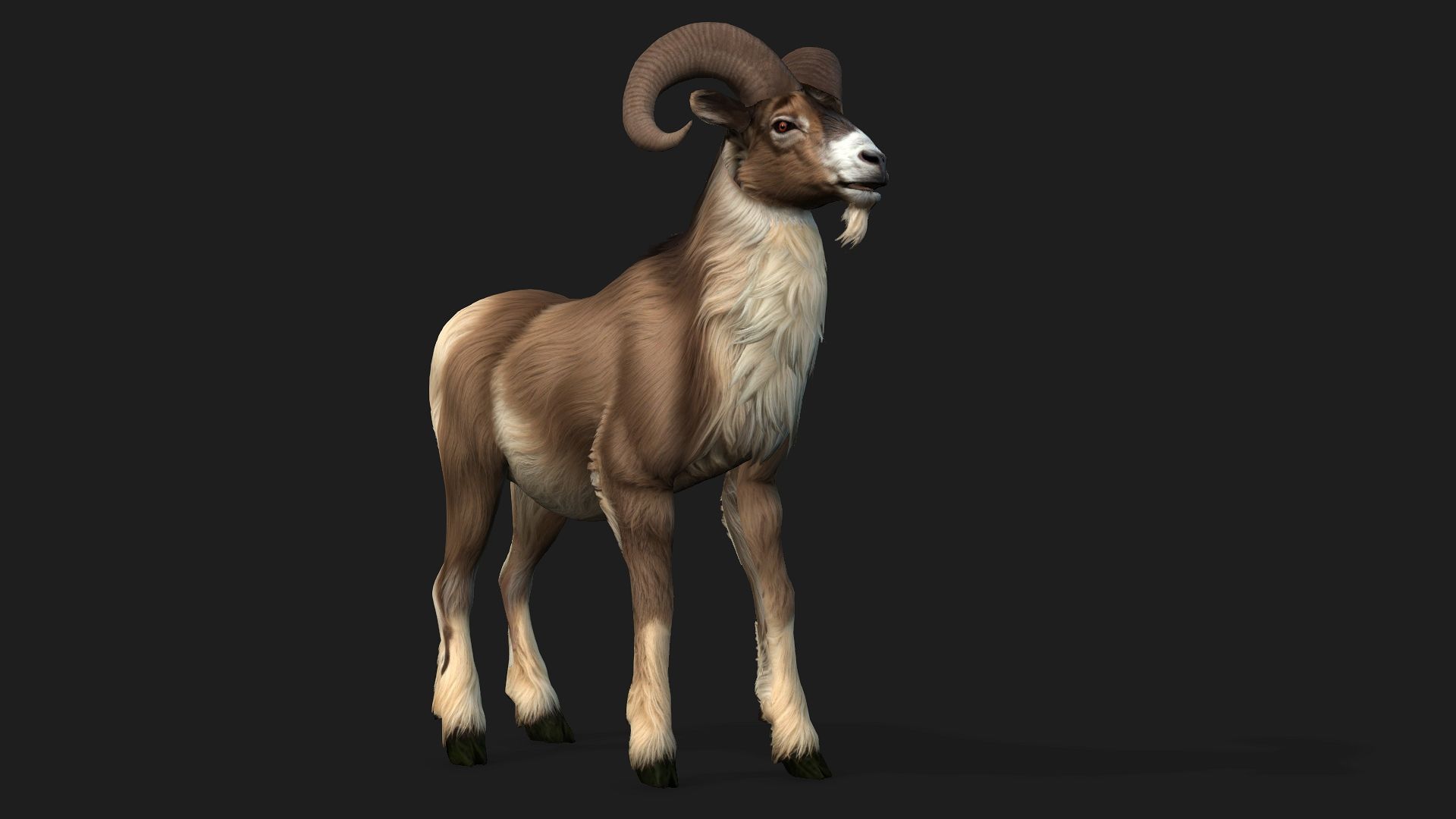Goat-B1 3D model_9