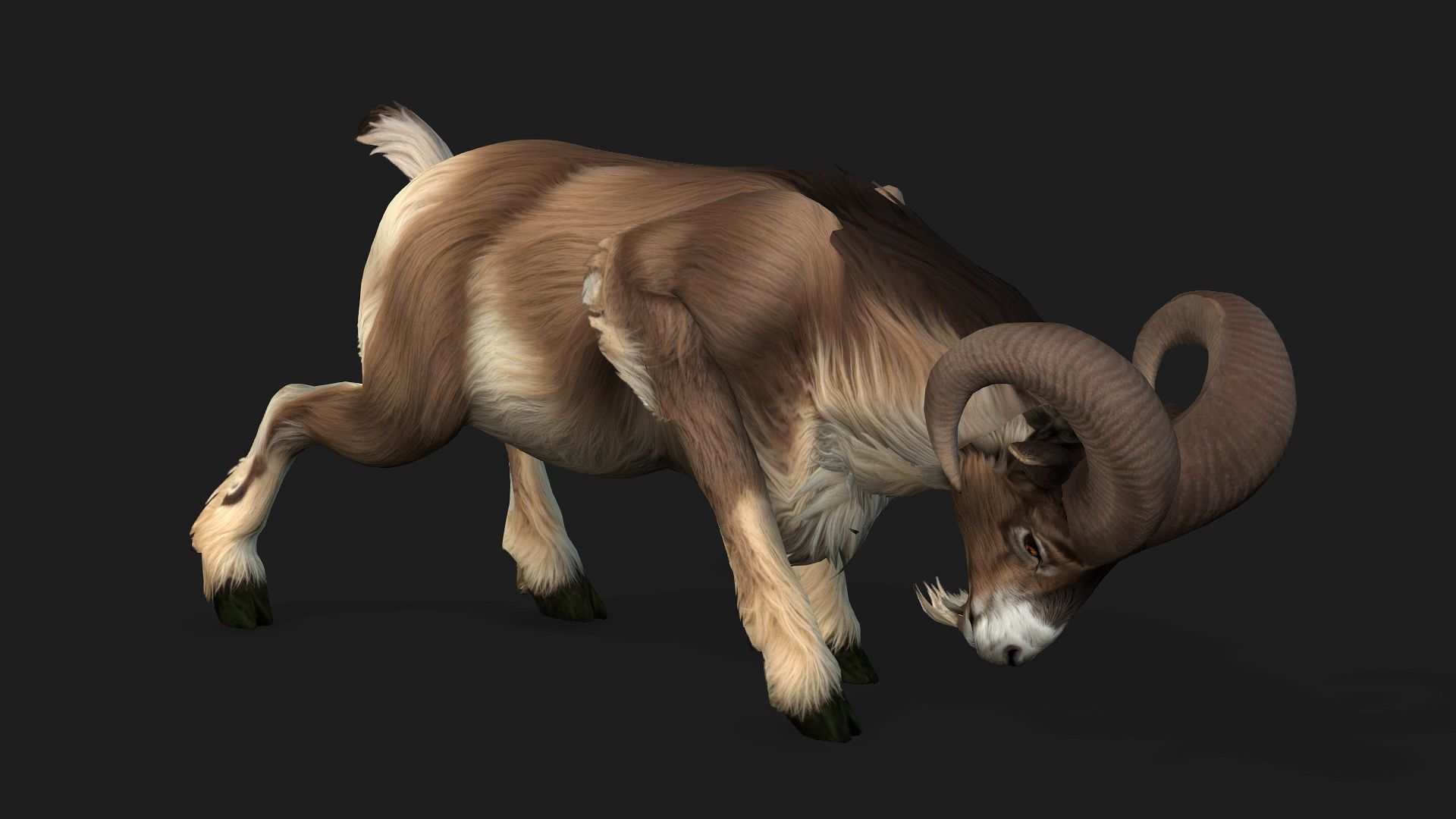 Goat-B1 3D model_13