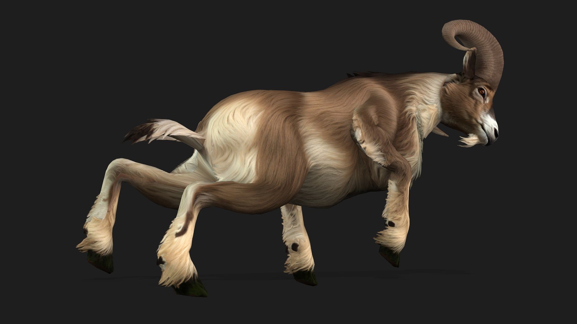 Goat-B1 3D model_3