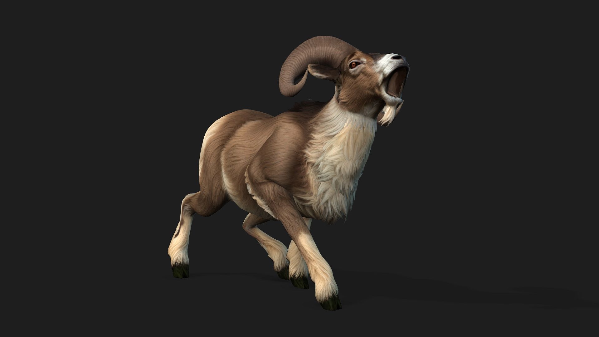 Goat-B1 3D model_4