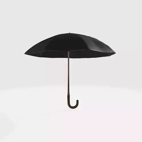 Traditional umbrella
