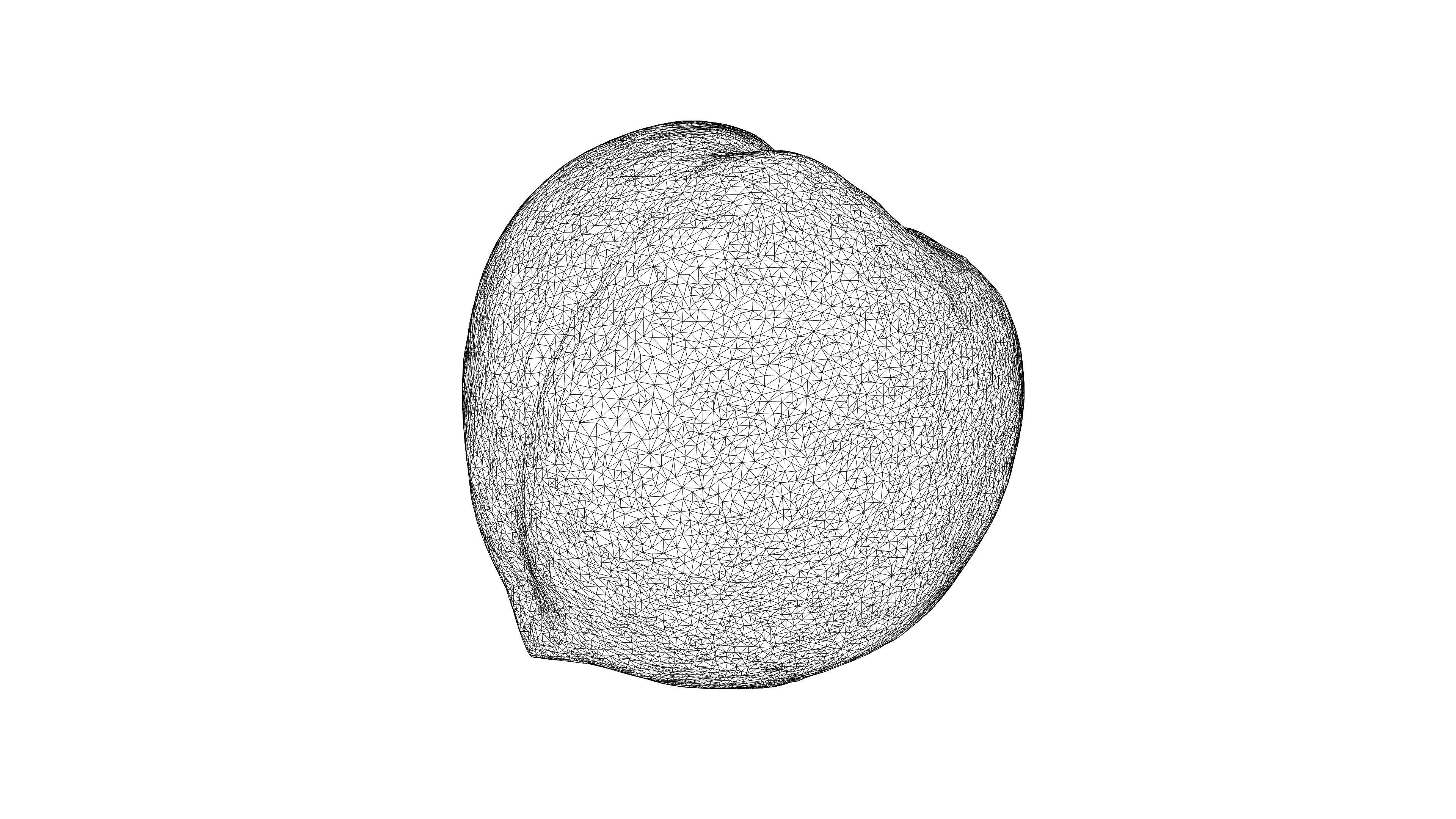 Photorealistic 3D scan of peach Low-poly 3D model_23