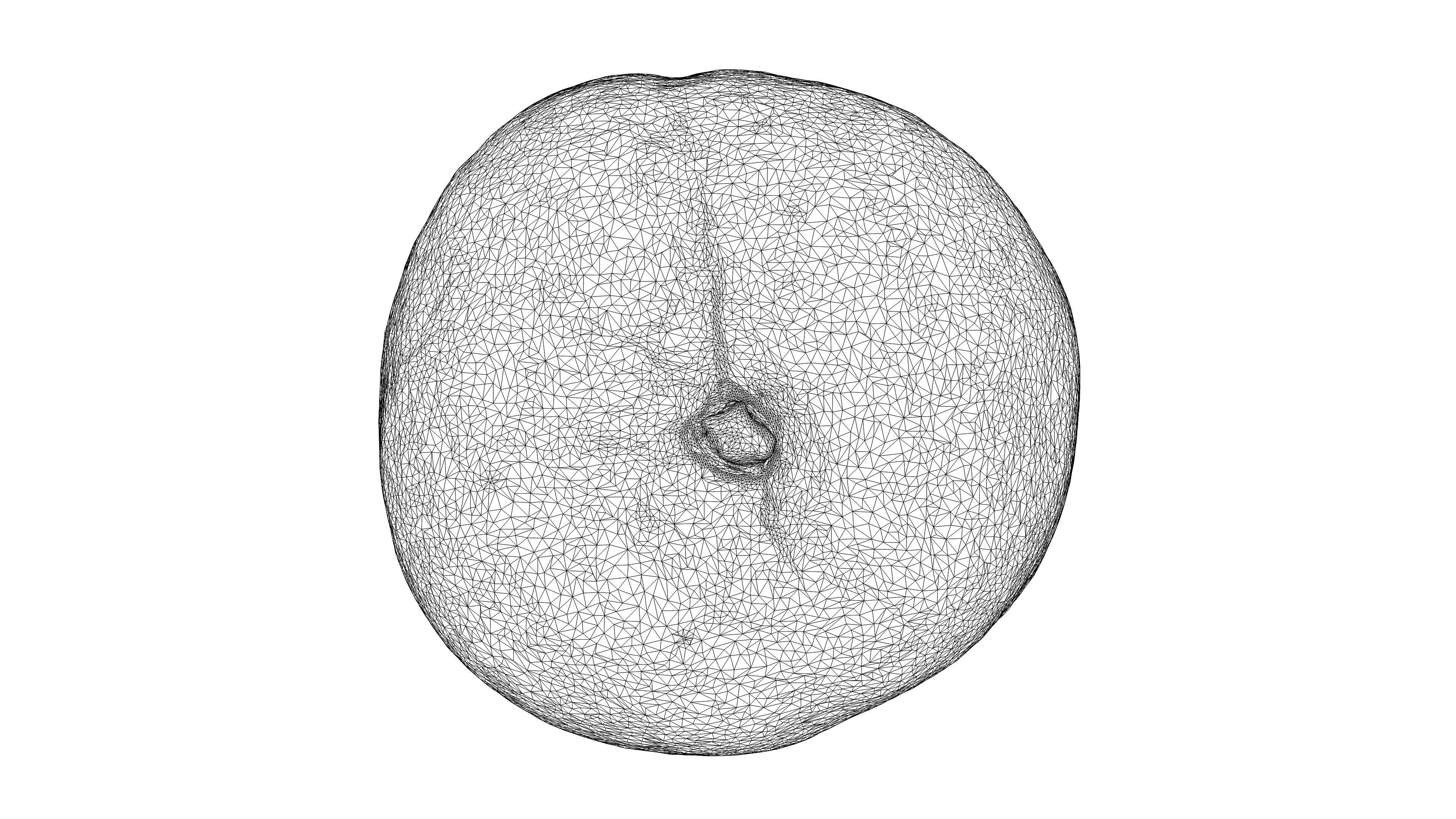 Photorealistic 3D scan of peach Low-poly 3D model_21