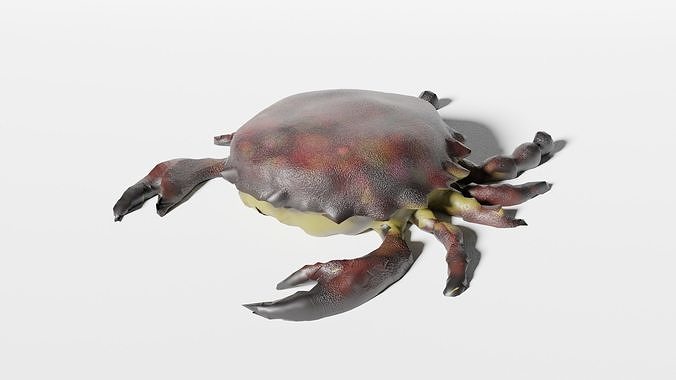 Crab lowpoly Low-poly 3D model