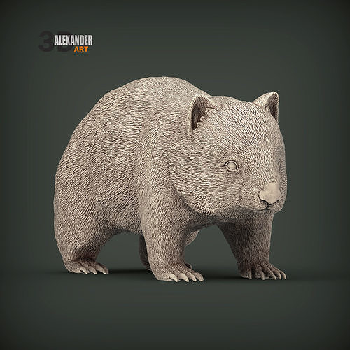 Wombat 3D print model