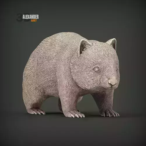 Wombat